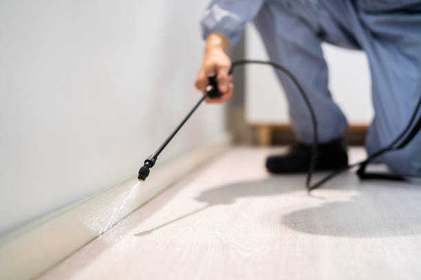 Professional exterminator conducting IPM assessment in Bainbridge